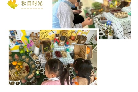 秋收冬藏，沉醉自然——临湖中心幼儿园自然角环境创设与观摩