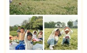 【园所·动态】童心赴春约  一起“趣”春游——临湖中心幼儿园小班组春游活动